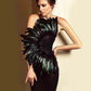 Elegant Evening Dress with Feathers